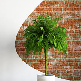 Plastering Services Image 5